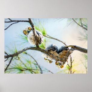 Affiche Cute Baby Owl Faune Art fine Grande Chouette à la