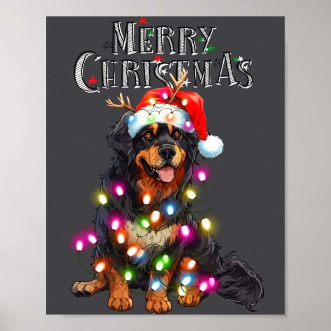 Affiche Cute Bernese Mountain Christmas Lights Xmas Dog Lo (Devant)