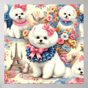 Affiche Cute Bichon Frisé