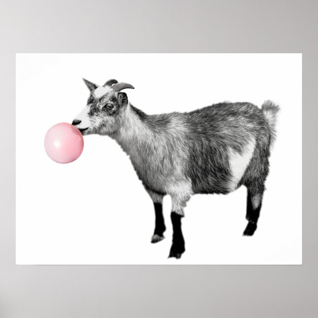 Affiche Cute Black White Goat Bubble Gum Nursery Child (Devant)