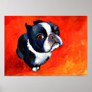 Affiche Cute Boston Terrier Peinture de chien Svetlana Nov