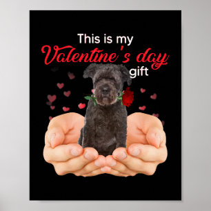Affiche Cute Bouvier Des Flandres This Is My Valentines Da