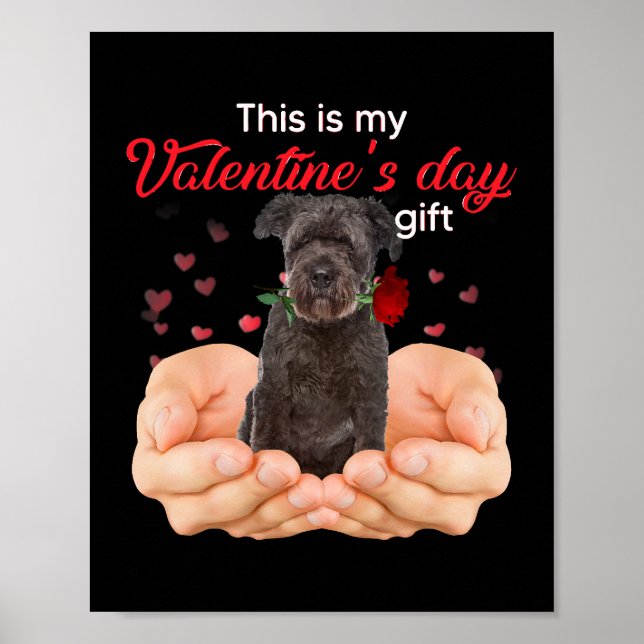Affiche Cute Bouvier Des Flandres This Is My Valentines Da (Devant)