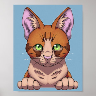 Affiche Cute chat