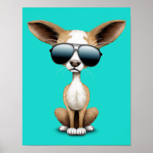 Affiche Cute Chihuahua Chiot portant des lunettes de solei