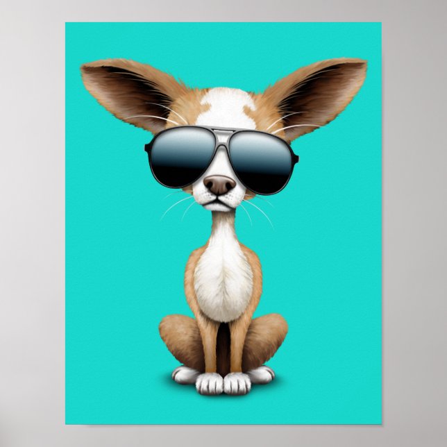 Affiche Cute Chihuahua Chiot portant des lunettes de solei (Devant)