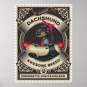 Affiche Cute Dachshund en voiture en forme de saucisse