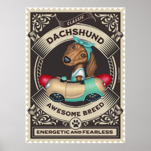 Affiche Cute Dachshund en voiture en forme de saucisse