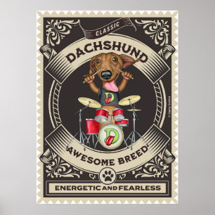 Affiche Cute Dachshund Jouer Des Tambours