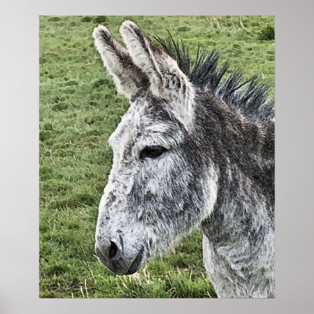 AFFICHE CUTE DONKEY (Devant)