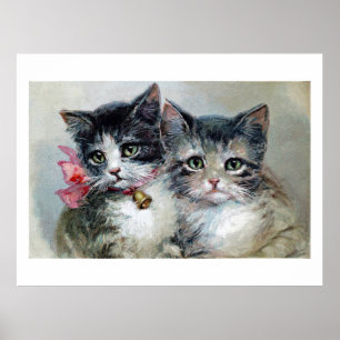 Affiche Cute et Cuter, chatons adorables,