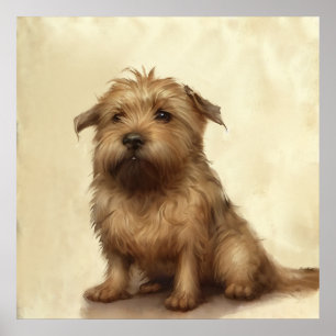 Affiche Cute Fluffy Norfolk Terrier Art