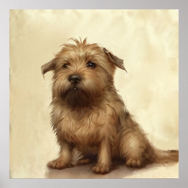 Affiche Cute Fluffy Norfolk Terrier Art (Devant)