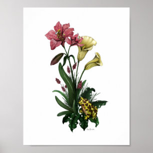 Affiche Cute Frog Parmi Les Lilies Art Botanique Floral