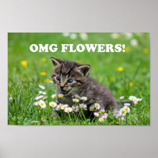 Affiche Cute Funny Kitten Fleurs Amoureuses