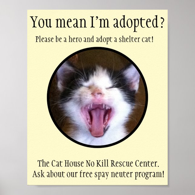Affiche Cute Funny Kitten Photo Adopter un Shelter Cat (Devant)