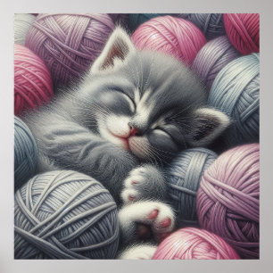 Affiche Cute Grey et blanc Kitten Napping en Fil