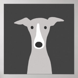 Affiche Cute Greyhound, Italian Greyhound or Whippet Dog