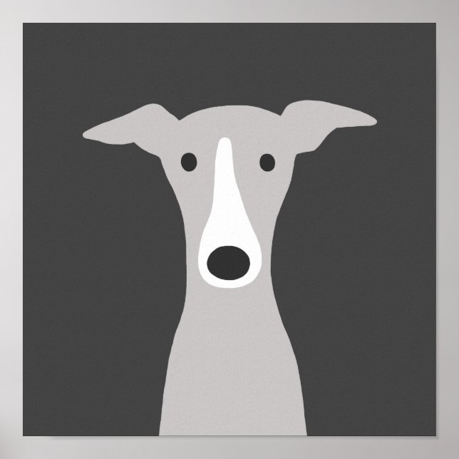 Affiche Cute Greyhound, Italian Greyhound or Whippet Dog (Devant)