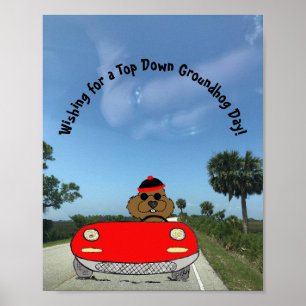 Affiche Cute Groundhog en convertible