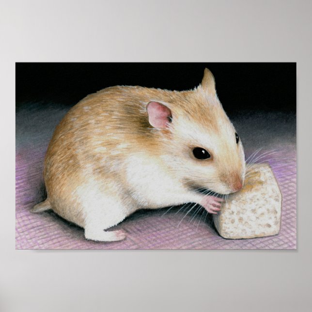 Affiche Cute Hamster 18 (Devant)