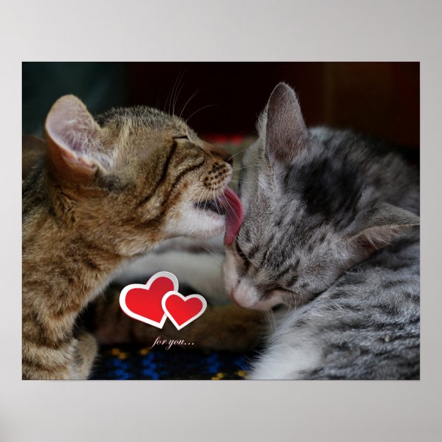 Affiche Cute kittens (Devant)