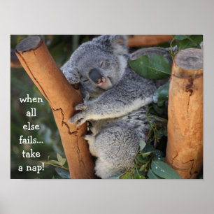 Affiche Cute Koala Bear, when all else fails take a nap