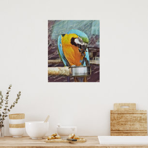 AFFICHE CUTE MACAW