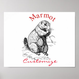 Affiche Cute Marmot Animal Thunder_Cove