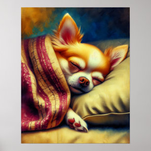 Affiche Cute Napping Chihuahua
