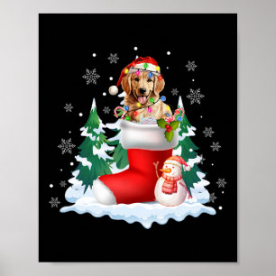 Affiche Cute Père Noël Golden Retriever Dans Chaussettes d