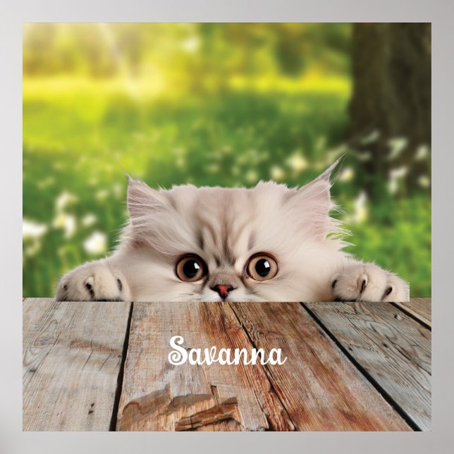 Affiche Cute Perse Peeking Chat (Devant)