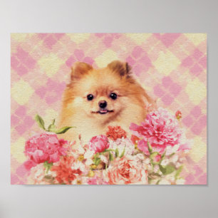 Affiche Cute Poméranian German Spitz with Flowers