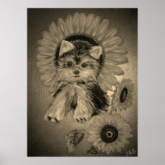 Affiche Cute Yorkshire Terrier avec des tournesols