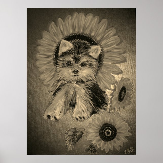 Affiche Cute Yorkshire Terrier avec des tournesols (Devant)
