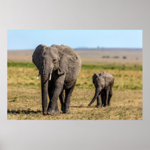 Affiche Cutest Baby Animals Elephant Mother & Baby