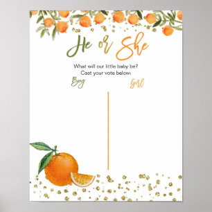 Affiche Cutie Orange Citrus gender reveal voting board