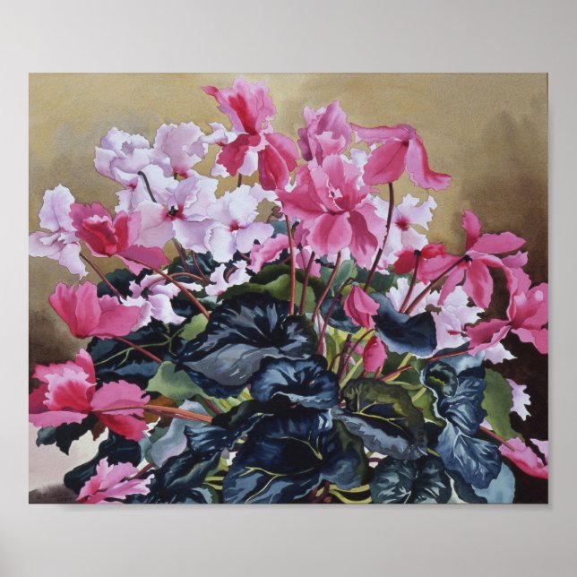 Affiche Cyclamen 2004 (Devant)