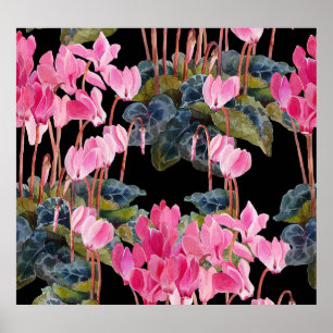 Affiche Cyclamen rose : Aquarelle florale foncée