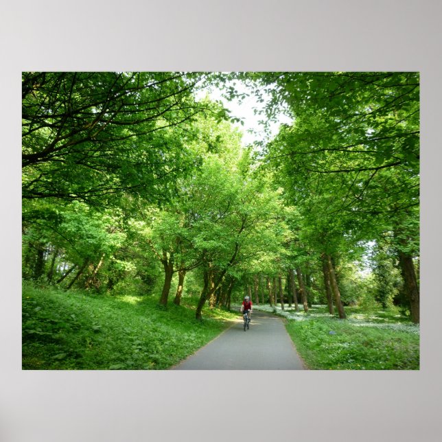 Affiche Cycle (Devant)