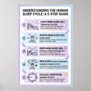 Affiche Cycle de sommeil humain : Guide infographique en 5