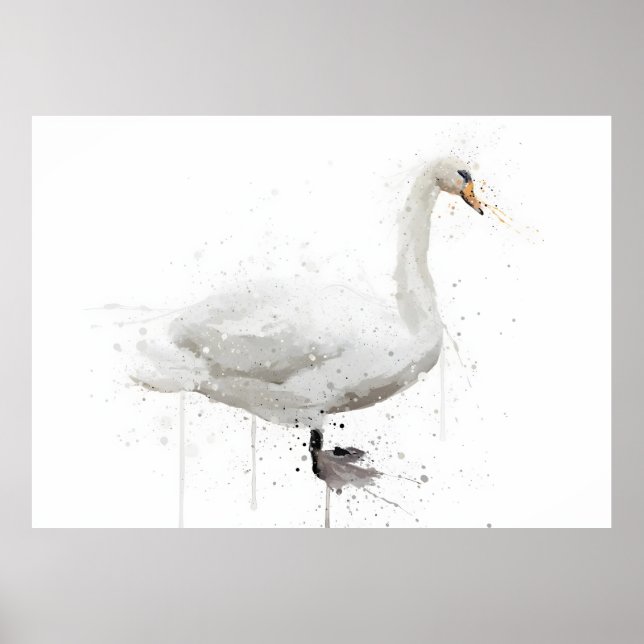 Affiche Cygne (Devant)