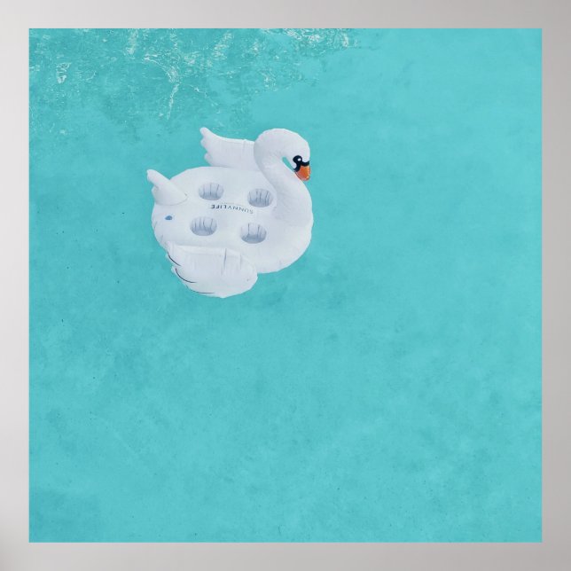 Affiche Cygne blanc gonflable sur le plan d'eau (Devant)