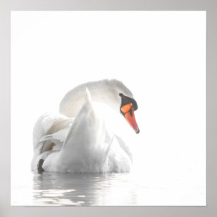 Affiche Cygne blanc sur eau brumeuse – Photographie minima