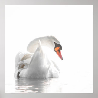 Affiche Cygne blanc sur eau brumeuse – Photographie minima