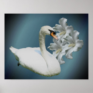 Affiche Cygne Et Hibiscus Fleurs Nature Art