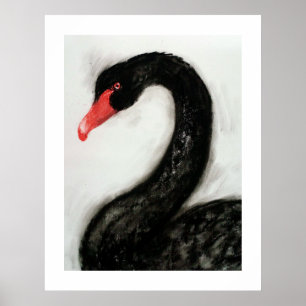 Affiche Cygne noir