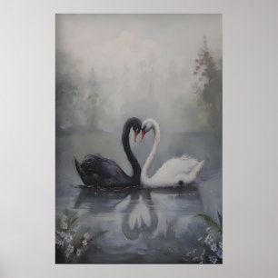 Affiche Cygnes noirs et blancs dans un lac brumeux sombre