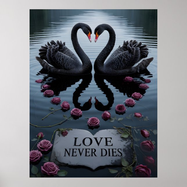 Affiche Cygnes noirs romantiques, reflet du cœur avec text (Devant)