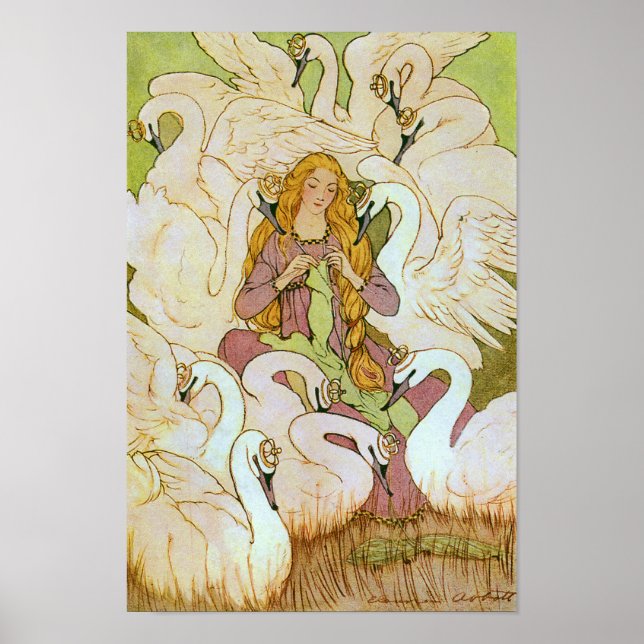 Affiche Cygnes sauvages (Devant)